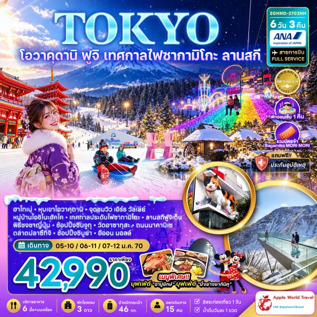 ทัวร์ญี่ปุ่น โตเกียว โอวาคุดานิ ฟูจิ เทศกาลไฟซากามิโกะ ลานสกี ช้อปปิ้งชินจูกุ และชิบูย่า (เที่ยวอิสระ 1 วัน) 6 วัน 3 คืน