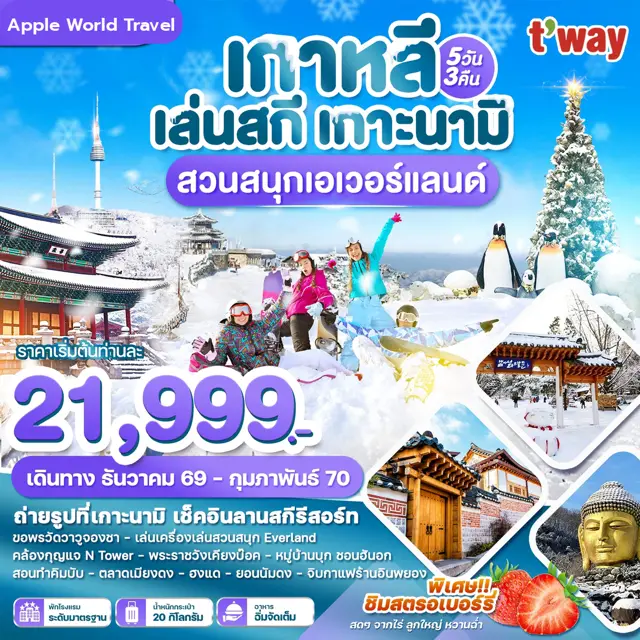 ทัวร์เกาหลี เล่นสกี เกาะนามิ สวนสนุกเอเวอร์แลนด์