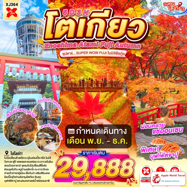 ทัวร์ญี่ปุ่น เอโนชิมะ อาตามิ โตเกียว ฟูจิ ใบไม้เปลี่ยนสี