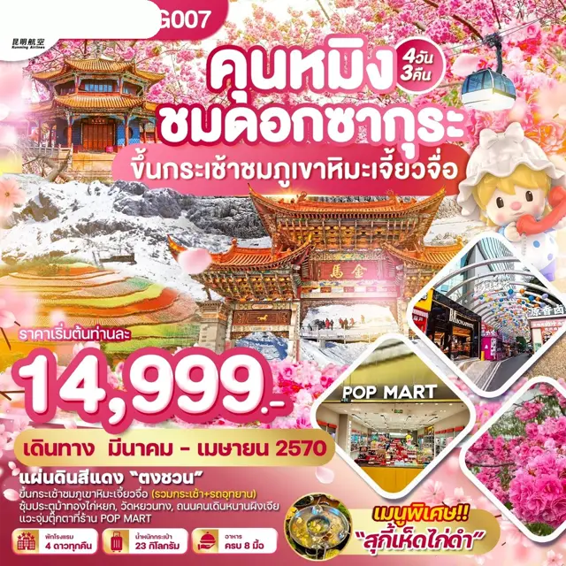 ทัวร์จีน คุนหมิง ชมดอกซากุระ ขึ้นกระเช้าชมภูเขาหิมะเจี้ยวจื่อ 4 วัน 3 คืน