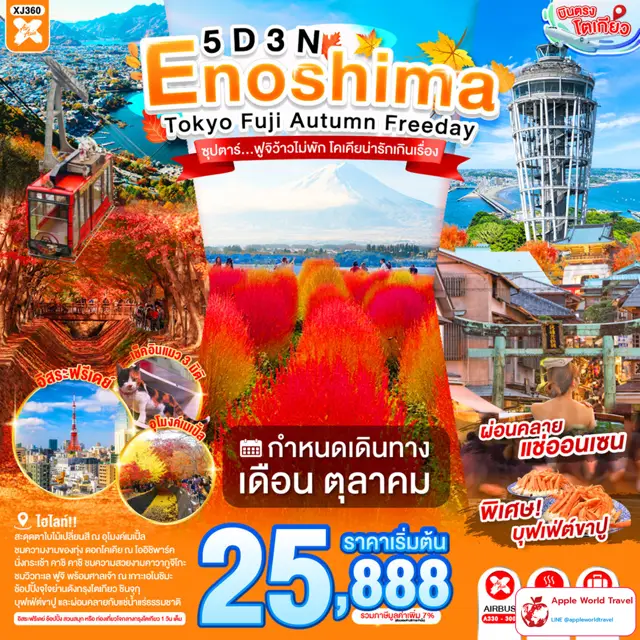 ทัวร์ญี่ปุ่น เอโนชิมะ โตเกียว ฟูจิ ใบไม้เปลี่ยนสี มีวันอิสระ