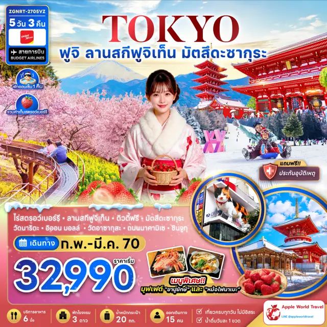 ทัวร์ญี่ปุ่น โตเกียว ฟูจิ ลานสกีฟุจิเท็น มัตสึดะซากุระ เก็บสตรอว์เบอร์รี่ 5 วัน 3 คืน